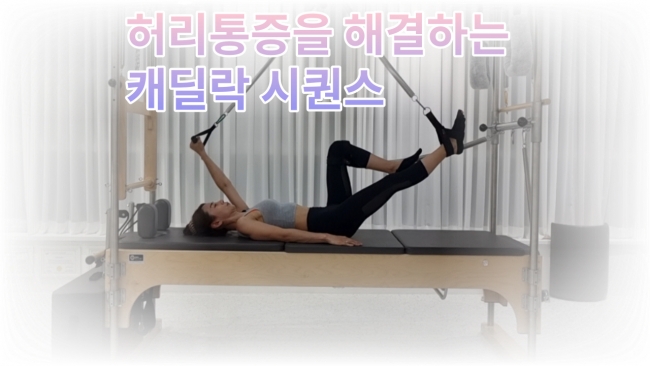 MAGIC BODY ACADEMY